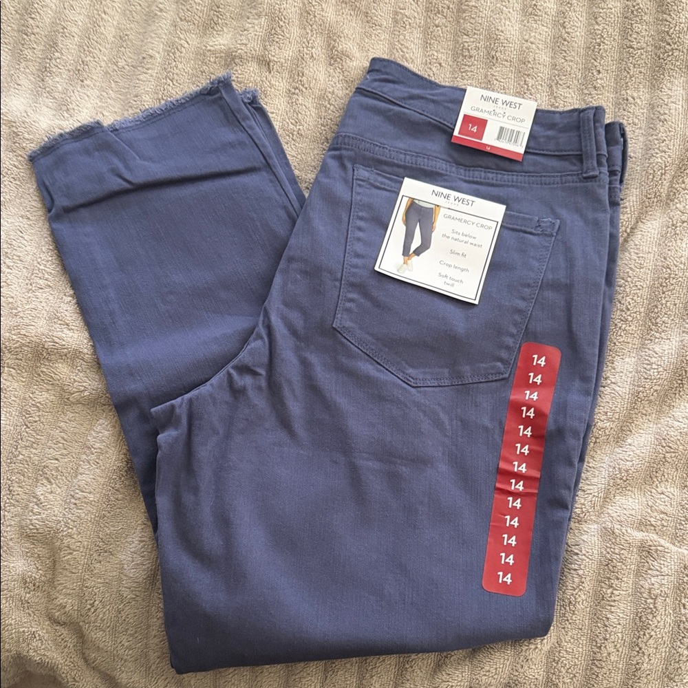 Nine West Men's Slate Chinos